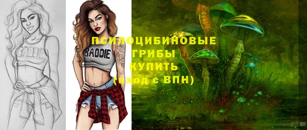 спиды Весьегонск