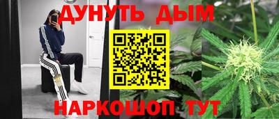 индика Аргун