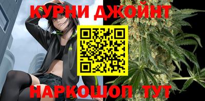 индика Аргун