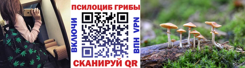 ОМГ ОМГ зеркало  Лосино-Петровский  Псилоцибиновые грибы мухоморы 