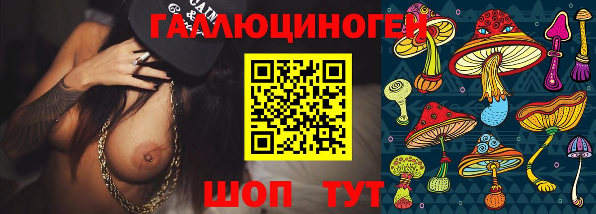 Галлюциногенные грибы Psilocybe  Лосино-Петровский  Галлюциногенные грибы Cubensis 